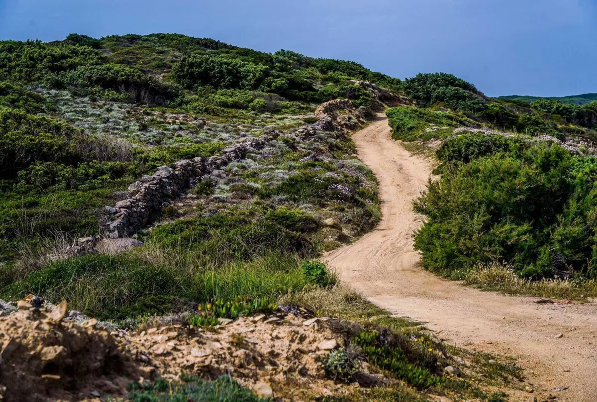 WRC23 Rally Italia Sardegna. Antonio Turitto, il “Comandante” della Divisione RIS (5)