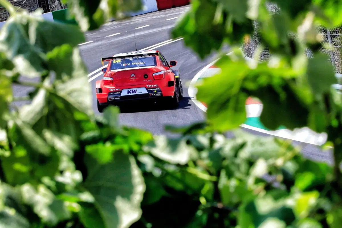 WTCC 2016, qualifiche Portogallo: (8)