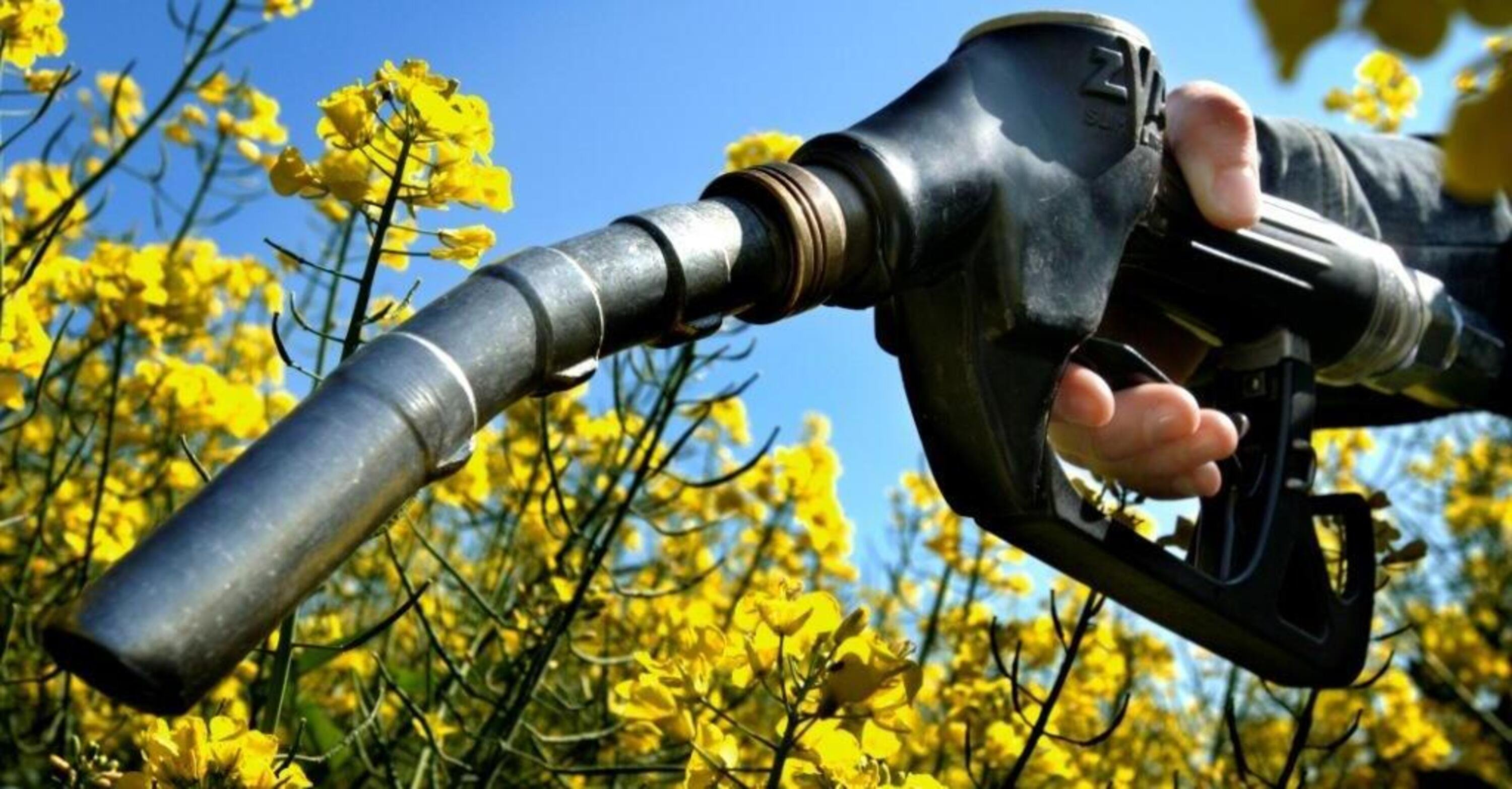 Biofuel: sono neutri per la CO2, l&#039;Europa ci d&agrave; ragione. E addio Euro 7  