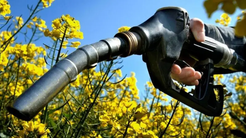 Biofuel: sono neutri per la CO2, l'Europa ci d&agrave; ragione. E addio Euro 7  