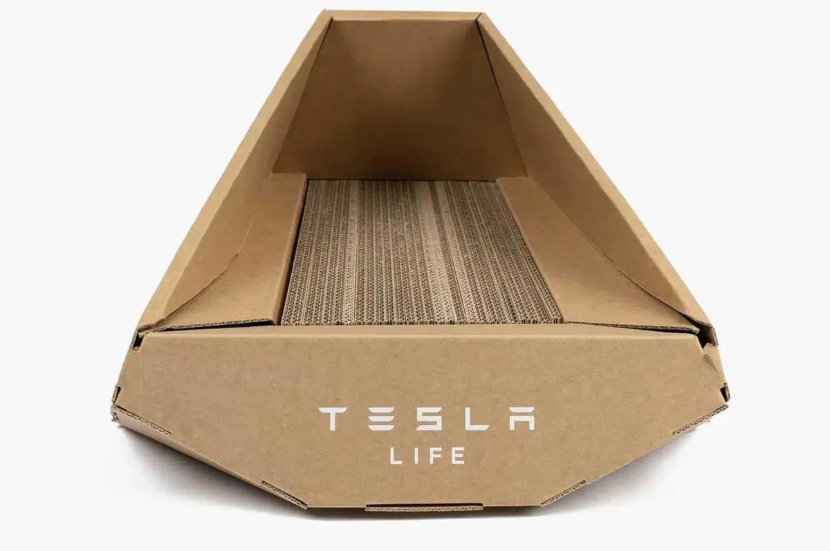 Tesla per la giornata del gatto: il Cybertruck di cartone 