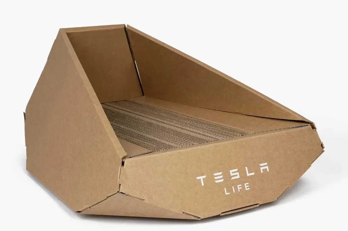 Tesla per la giornata del gatto: il Cybertruck di cartone  (2)
