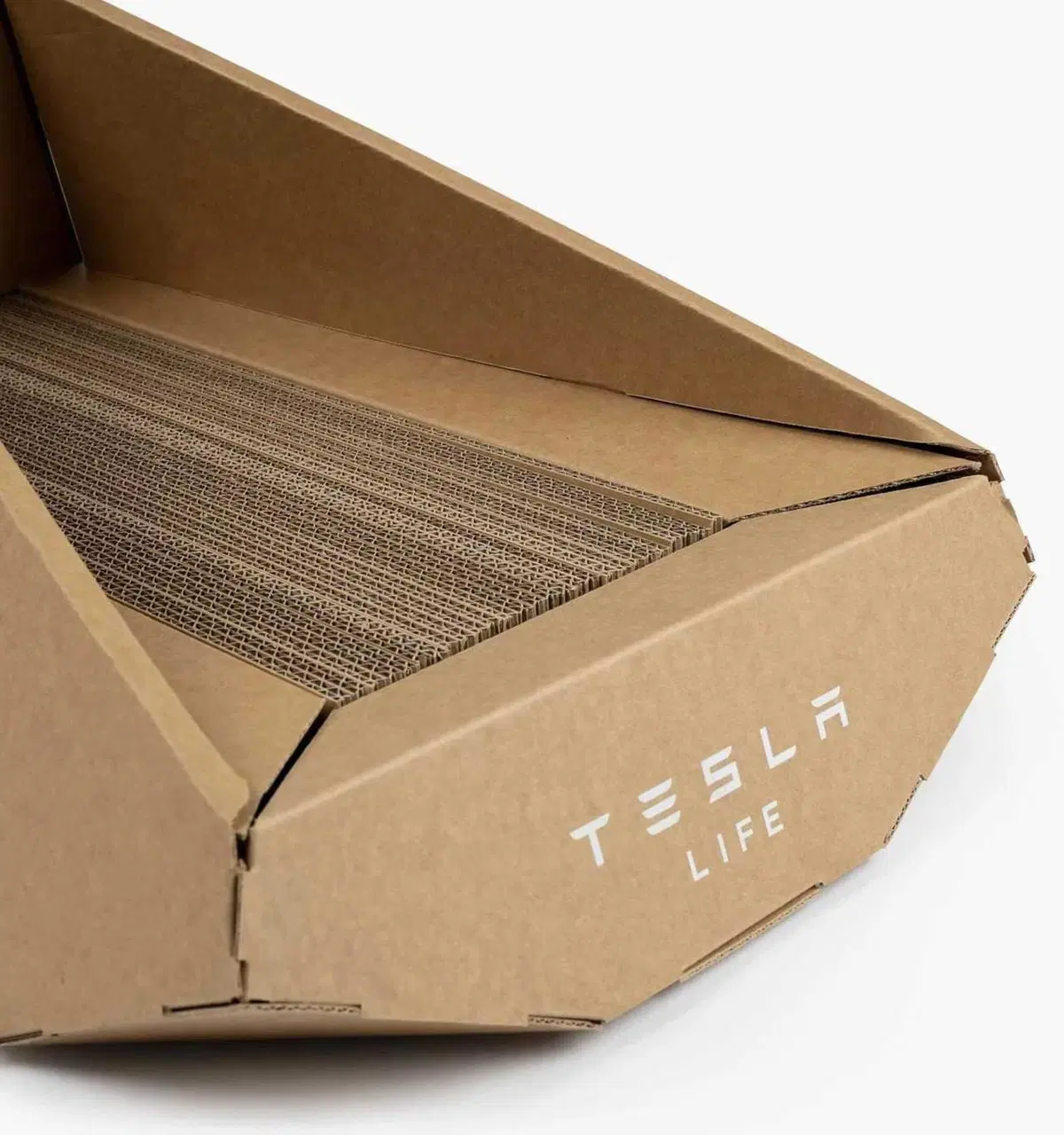 Tesla per la giornata del gatto: il Cybertruck di cartone  (3)