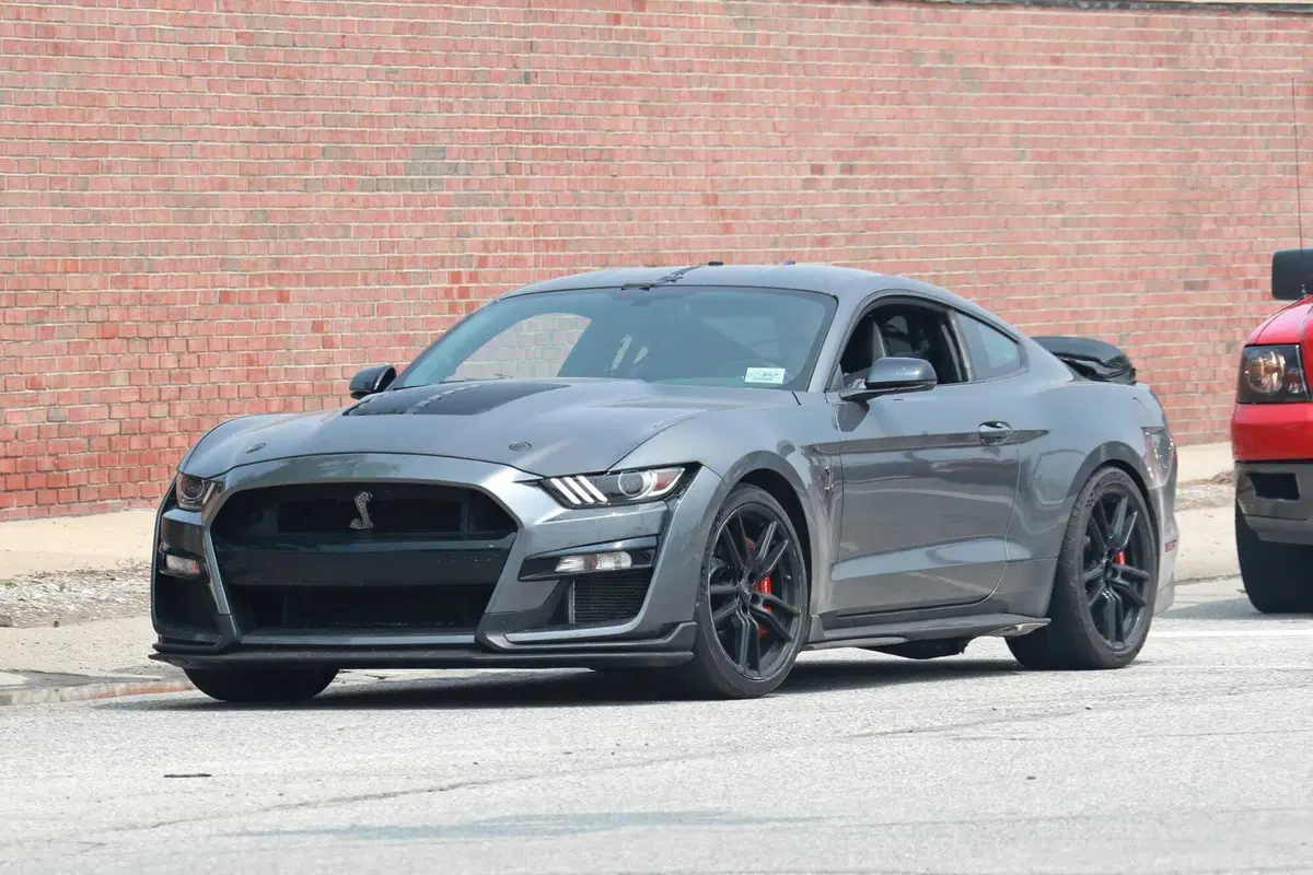 Ford Mustang GT500, edizione speciale in arrivo nel 2024 [Foto Spia] (2)