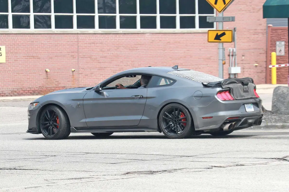 Ford Mustang GT500, edizione speciale in arrivo nel 2024 [Foto Spia] (6)