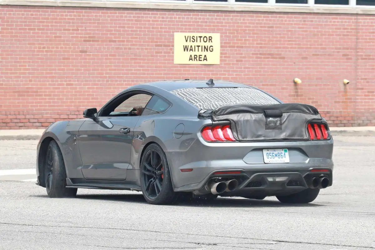 Ford Mustang GT500, edizione speciale in arrivo nel 2024 [Foto Spia] (8)