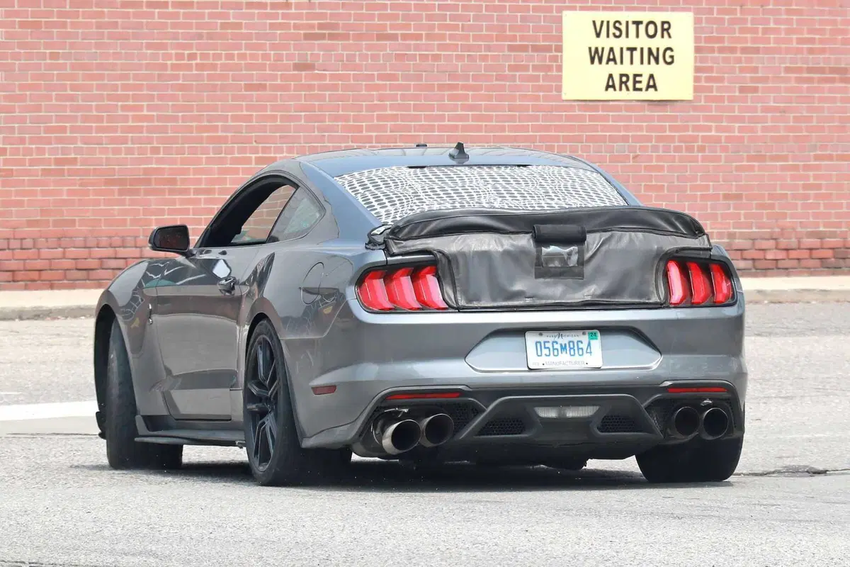 Ford Mustang GT500, edizione speciale in arrivo nel 2024 [Foto Spia] (9)