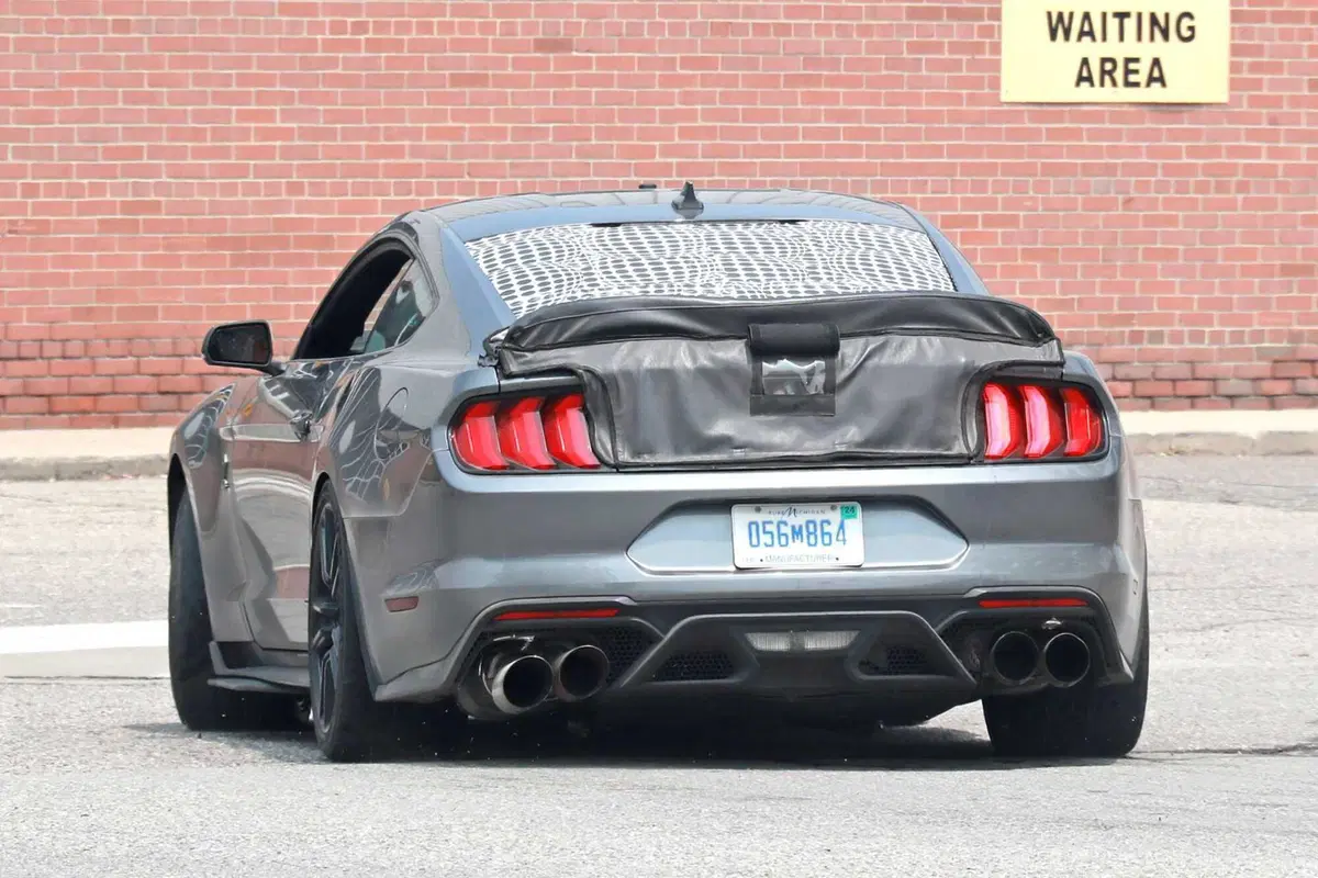 Ford Mustang GT500, edizione speciale in arrivo nel 2024 [Foto Spia] (10)