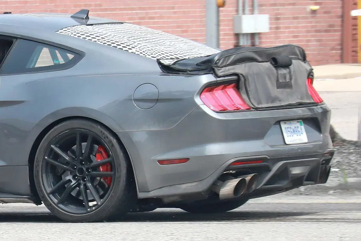 Ford Mustang GT500, edizione speciale in arrivo nel 2024 [Foto Spia] (12)