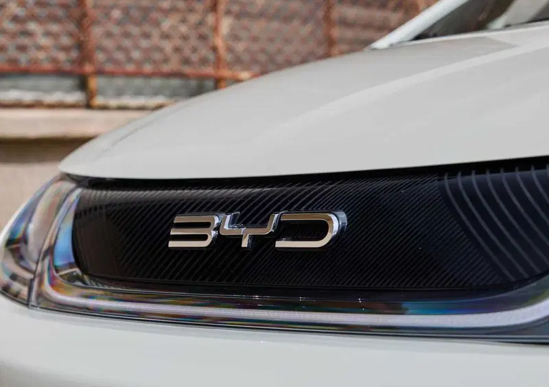 Byd Dolphin (2023-->>) (11)