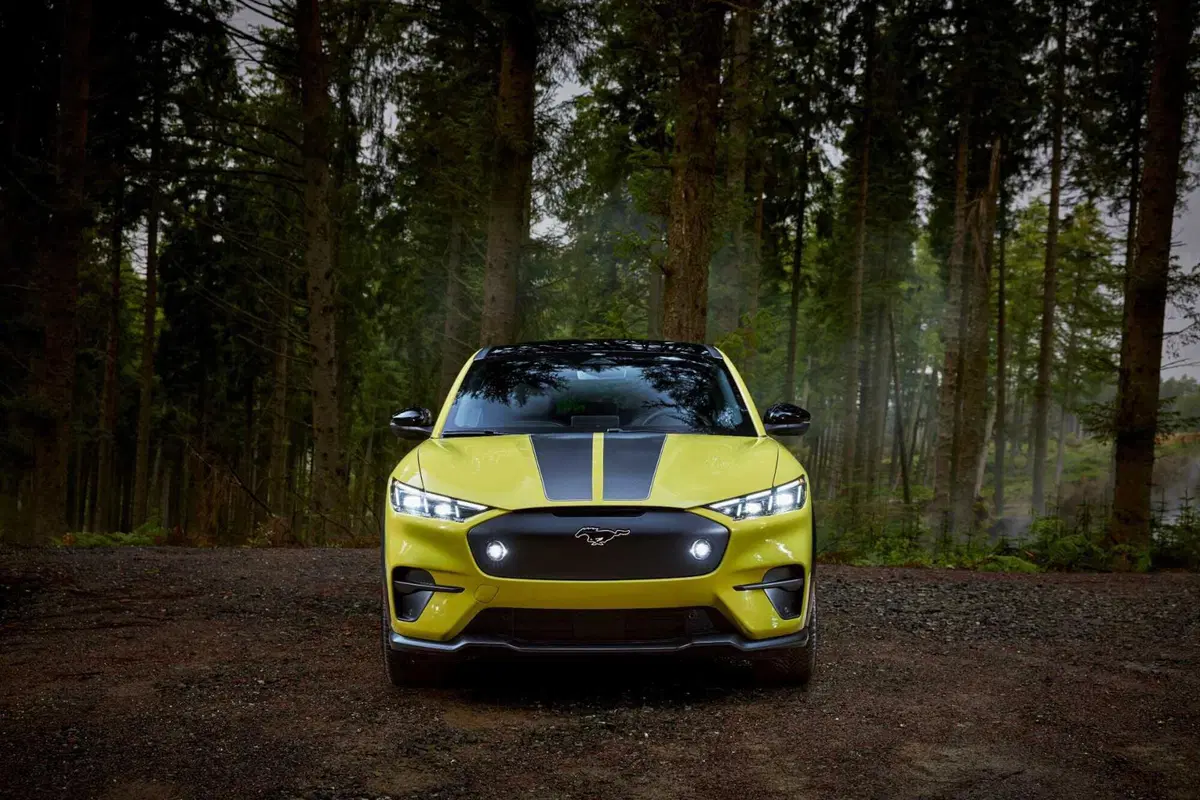Ford Mustang Mach-E Rally: l'asfalto le va stretto (3)