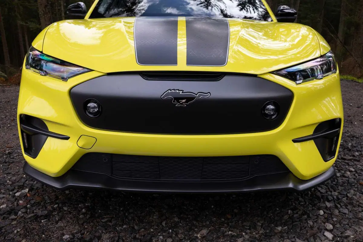 Ford Mustang Mach-E Rally: l'asfalto le va stretto (7)