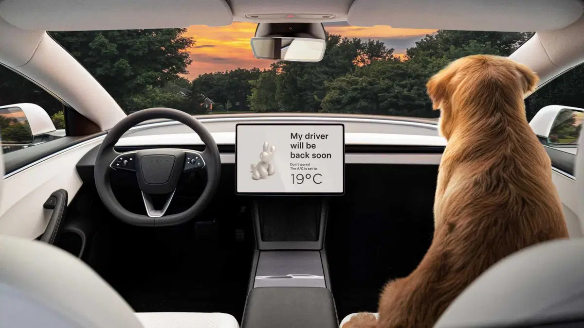Tesla Model 3 (2018-->>) (12)