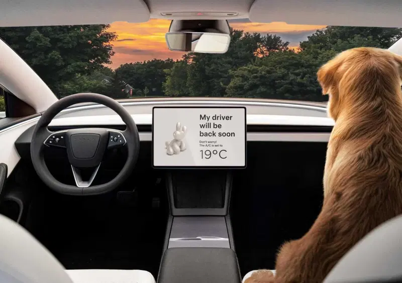 Tesla Model 3 (2018-->>) (12)