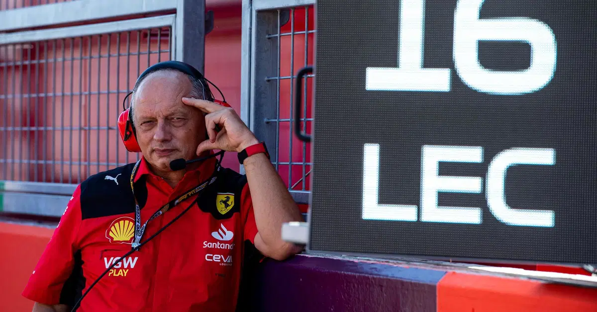 F1. GP Giappone, Vasseur: "Recuperiamo su Mercedes, ma anche McLaren sta arrivando"