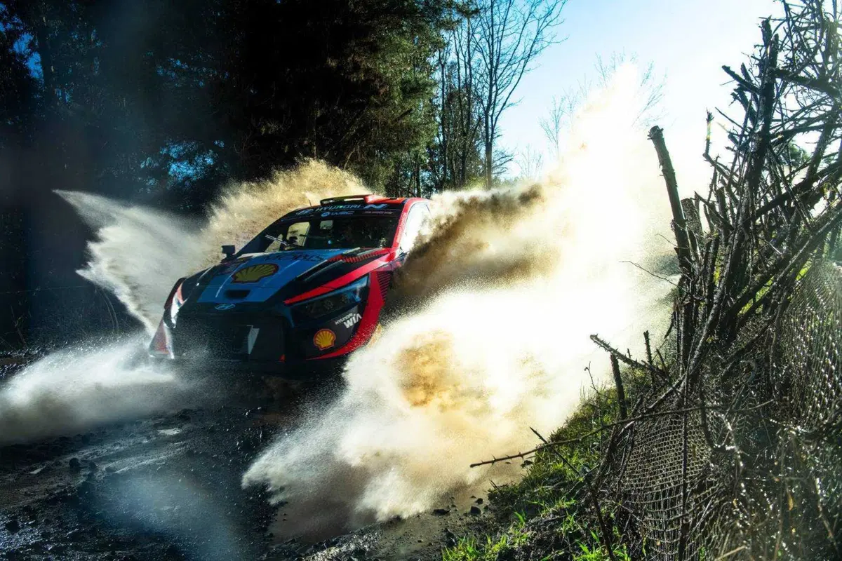 WRC23. Rally Chile D2. Tanak, Ford, solitario. Enigma gomme (6)