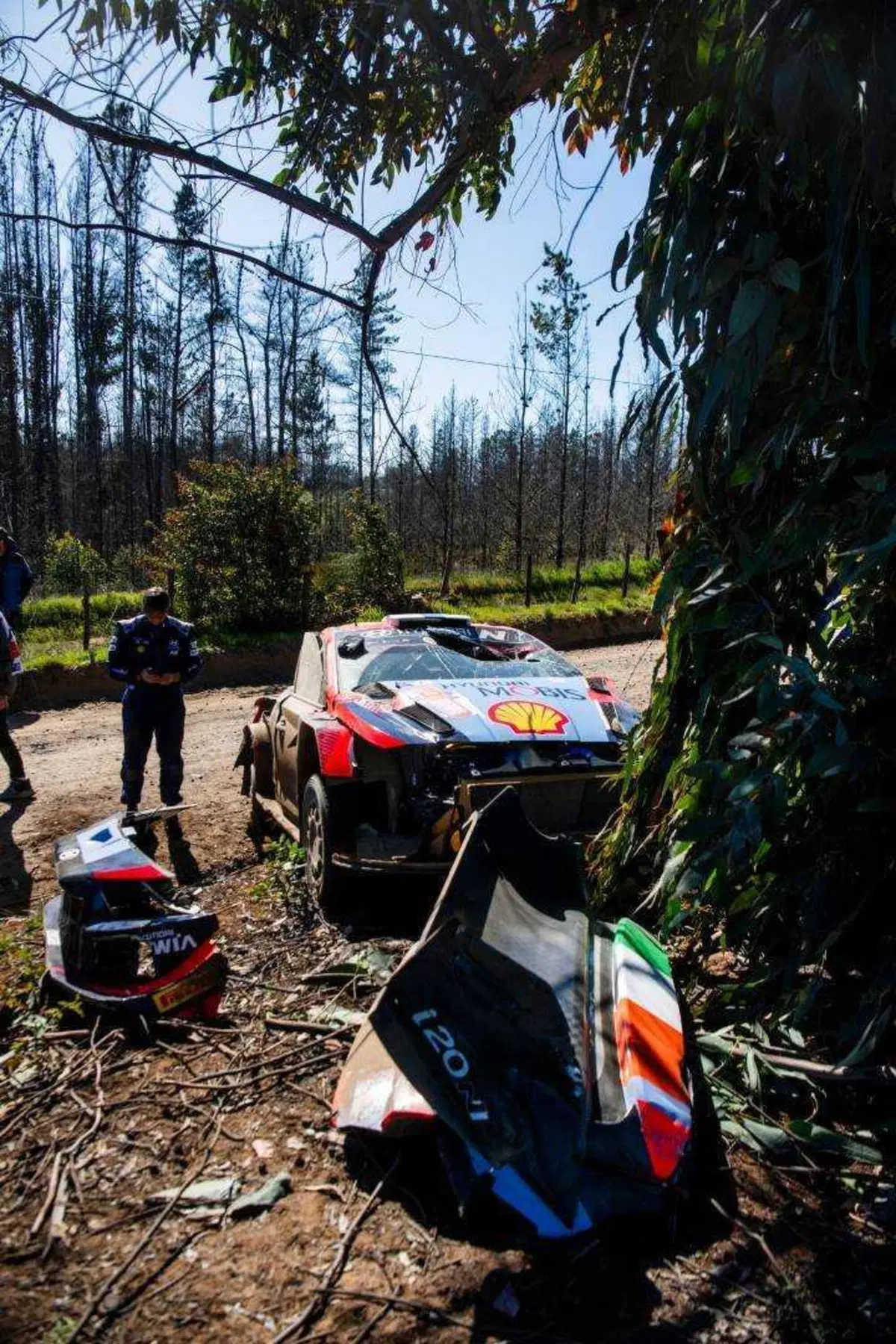 WRC23. Rally Chile D2. Tanak, Ford, solitario. Enigma gomme (7)