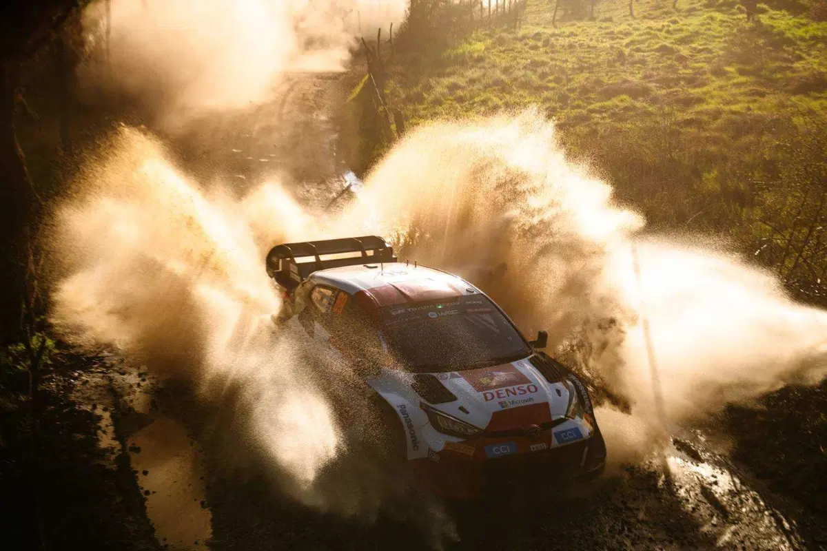 WRC23. Rally Chile D2. Tanak, Ford, solitario. Enigma gomme (9)