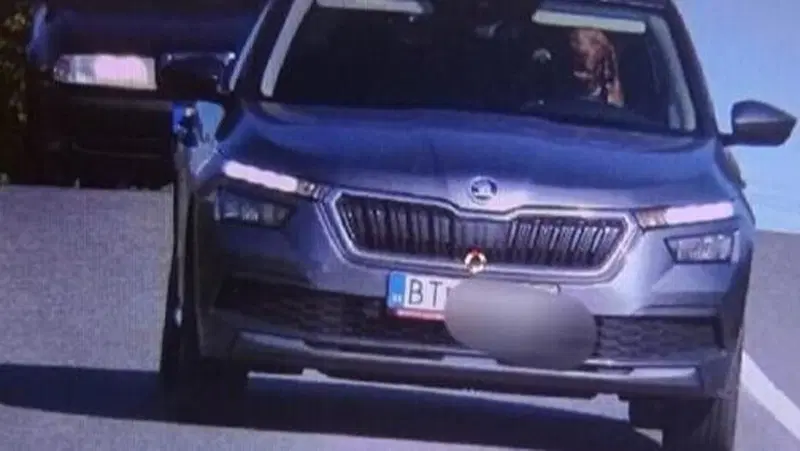 "Guida da cani", segugio al volante multato dalla Polizia 