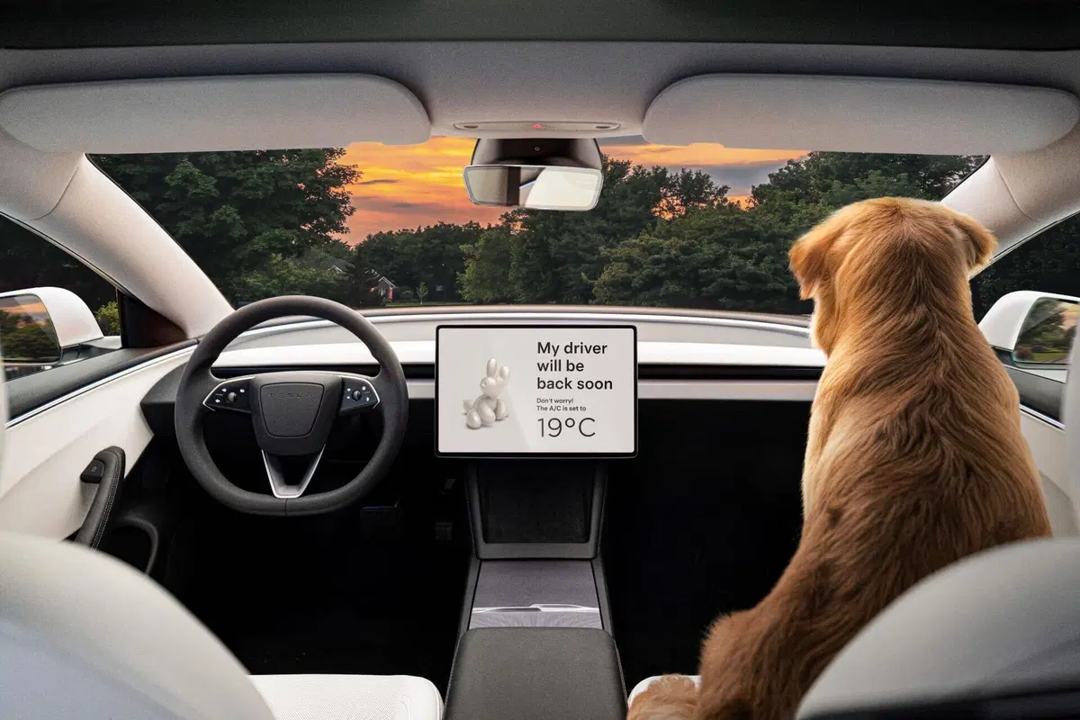 Nuova Tesla Model 3 2024 “Highland”: motorizzazioni, allestimenti e optional. Guida all’acquisto (21)