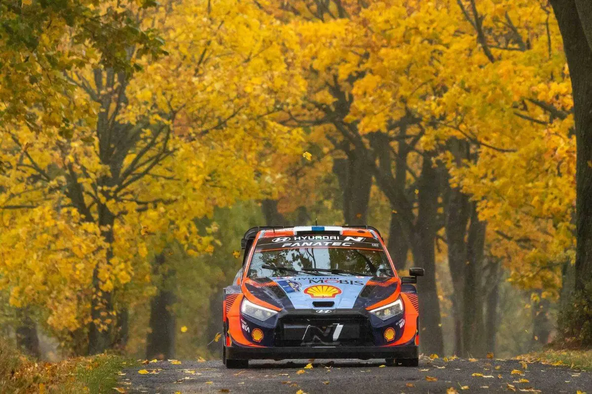 WRC23 Central Europe D2.  Rovanpera, prove generali di Titolo (6)