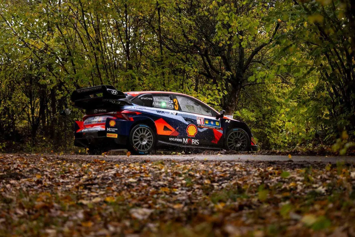 WRC23 Central Europe D2.  Rovanpera, prove generali di Titolo (7)