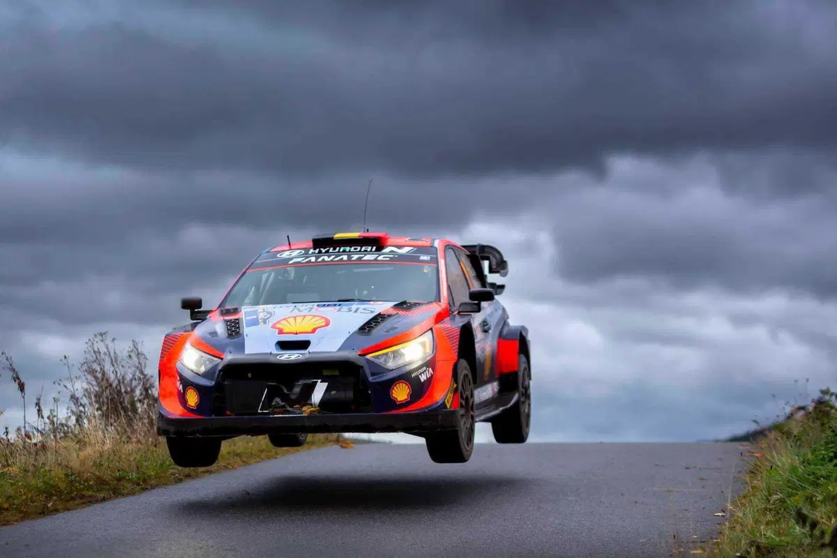 WRC23 Central Europe D2.  Rovanpera, prove generali di Titolo (9)