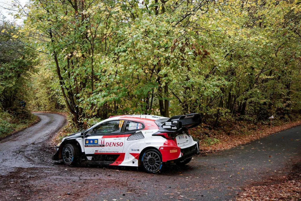 WRC23 Central Europe D2.  Rovanpera, prove generali di Titolo (11)