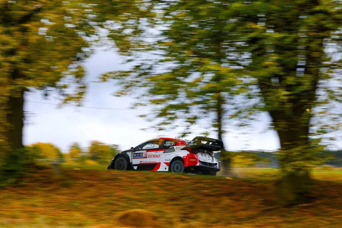 WRC23 Central Europe D2.  Rovanpera, prove generali di Titolo (10)