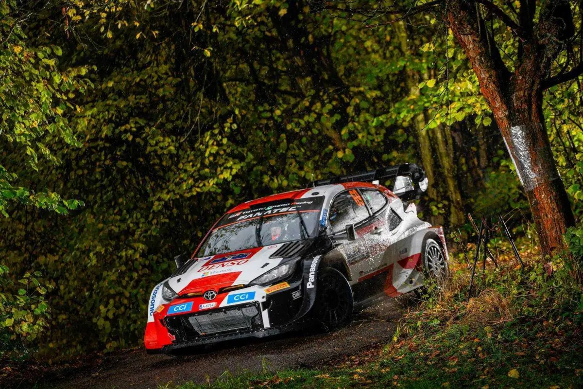 WRC23 Central Europe D2.  Rovanpera, prove generali di Titolo (14)