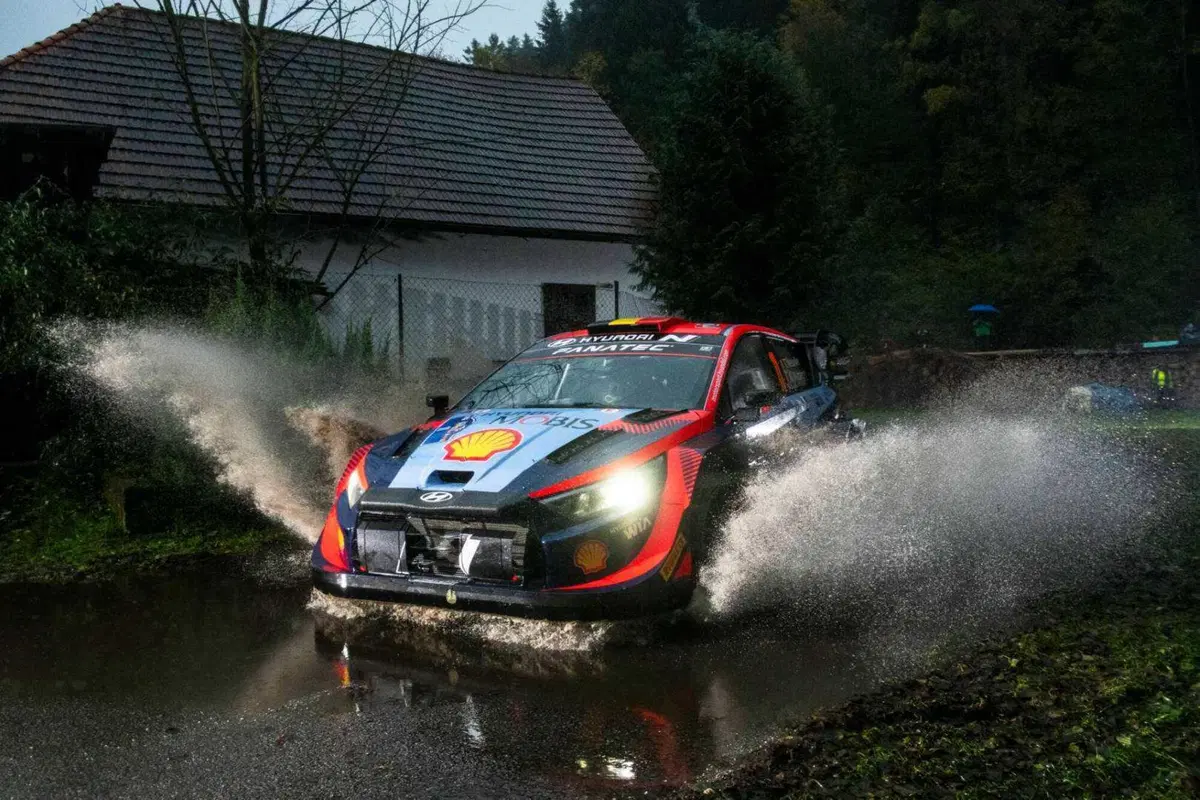 WRC23 Central Europe D2.  Rovanpera, prove generali di Titolo (16)