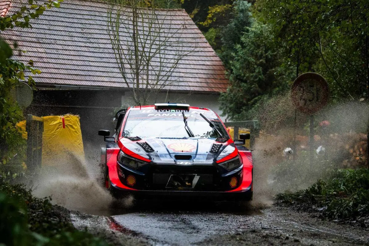 WRC23 Central Europe D2.  Rovanpera, prove generali di Titolo (18)