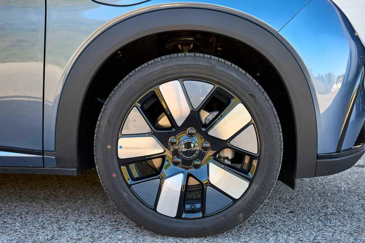 BYD Dolphin: la suv elettrica è appena arrivata e fa un gran "rumore" (2)
