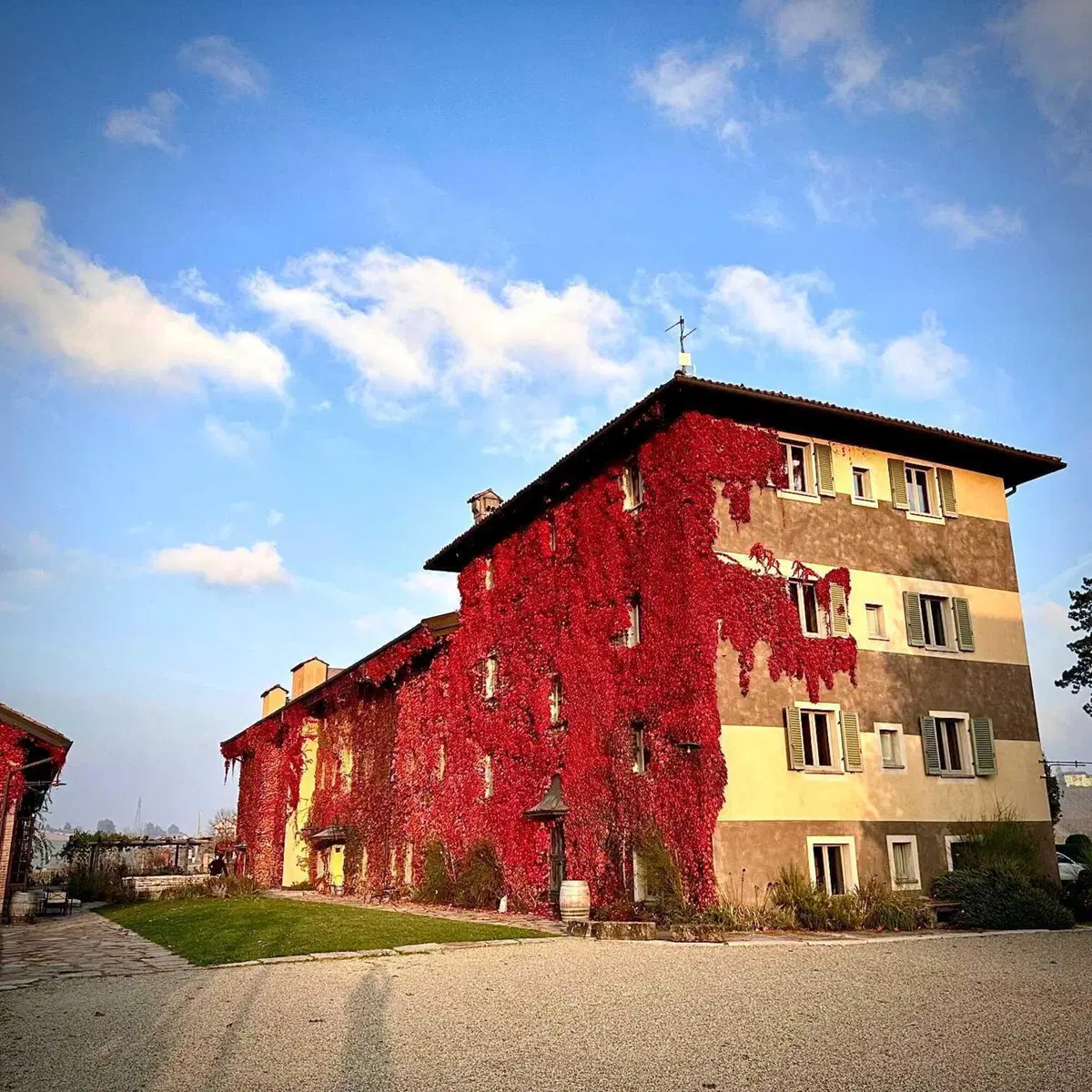 "Fleet Experience" con AutoRigoldi: dal Cuore di Milano alle Incantevoli Langhe (9)