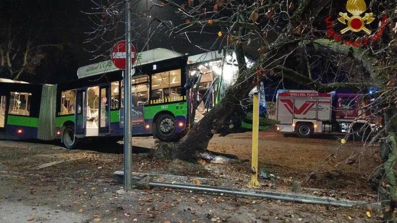 Verona: un attimo di distrazione e l&#039;autobus sale sull&#039;albero