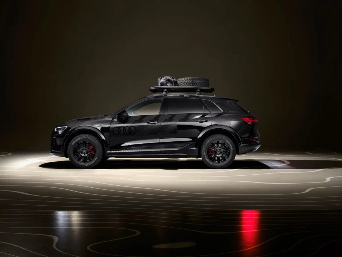 Audi Q8 e-tron Edition Dakar: la sfida dell’Off-Road Elettrico [VIDEO] (9)