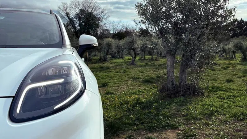 Ford: nuovi materiali per l'auto elettrica dagli alberi di ulivo