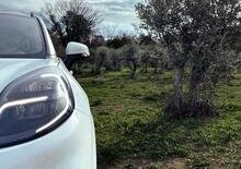 Ford: nuovi materiali per l'auto elettrica dagli alberi di ulivo