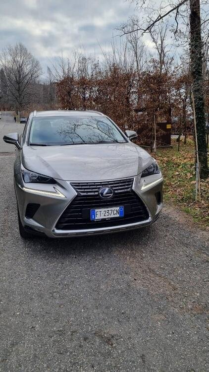 Lexus NX Hybrid 4WD Executive  del 2019 usata a Bergamo (2)