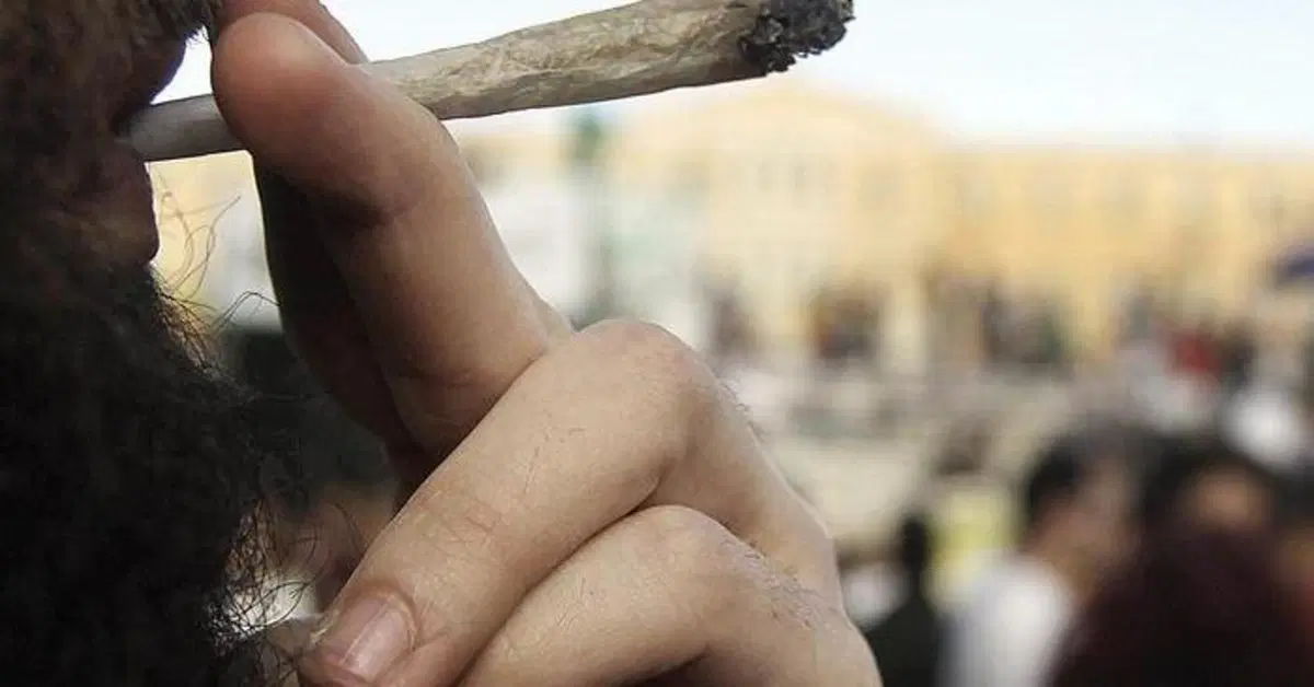 Francia: una petizione per favorire l'uso della cannabis al volante. Vabb&egrave;...