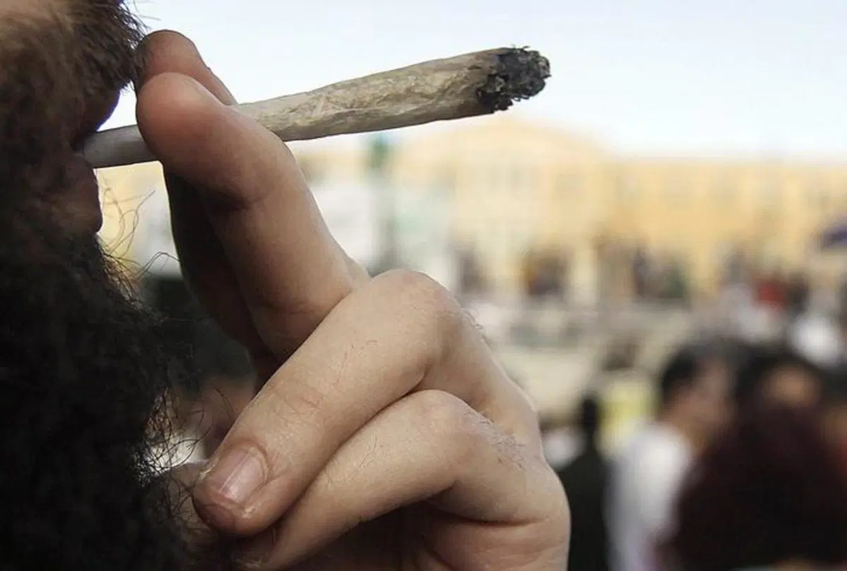 Francia: una petizione per favorire l'uso della cannabis al volante. Vabb&egrave;...