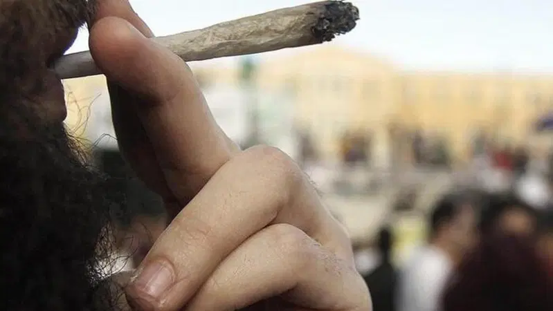 Francia: una petizione per favorire l'uso della cannabis al volante. Vabb&egrave;...