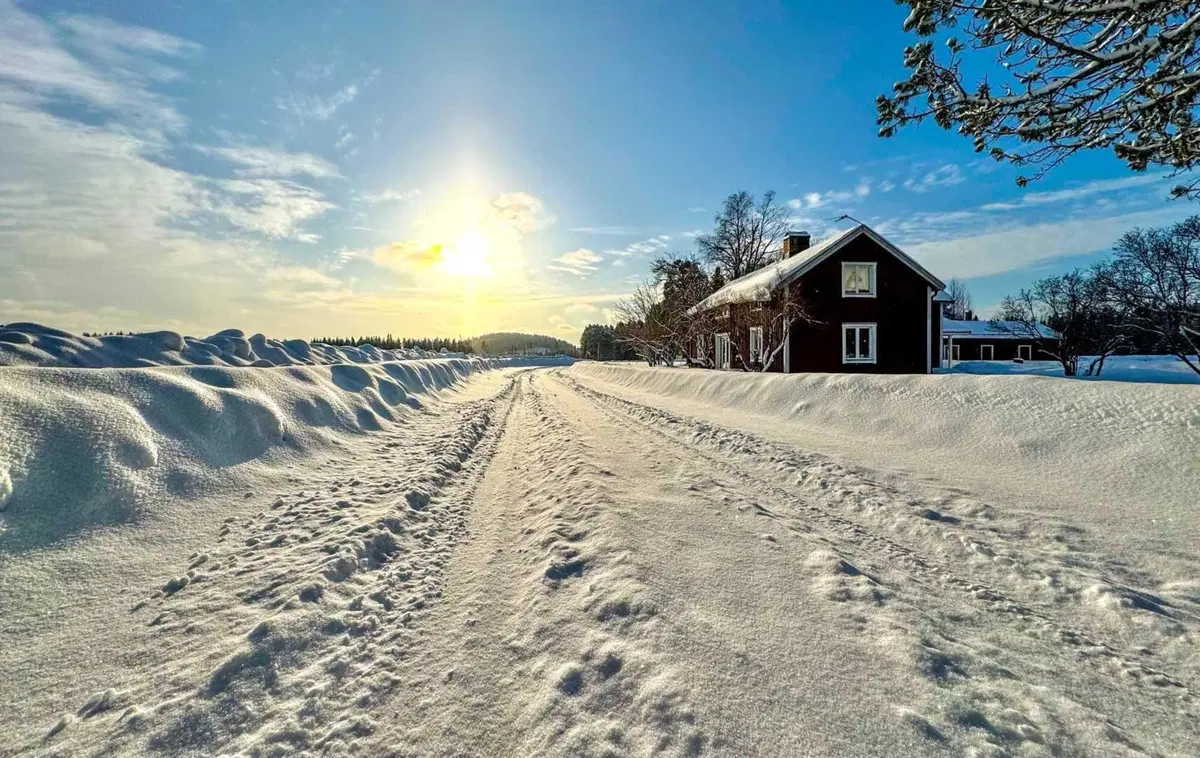 WRC 2024 Svezia. Velocissimo, bianco, invernale, unico (2)