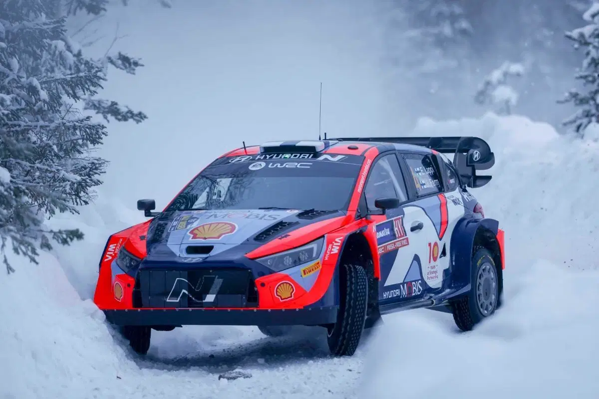 WRC 2024 Svezia. Velocissimo, bianco, invernale, unico (6)