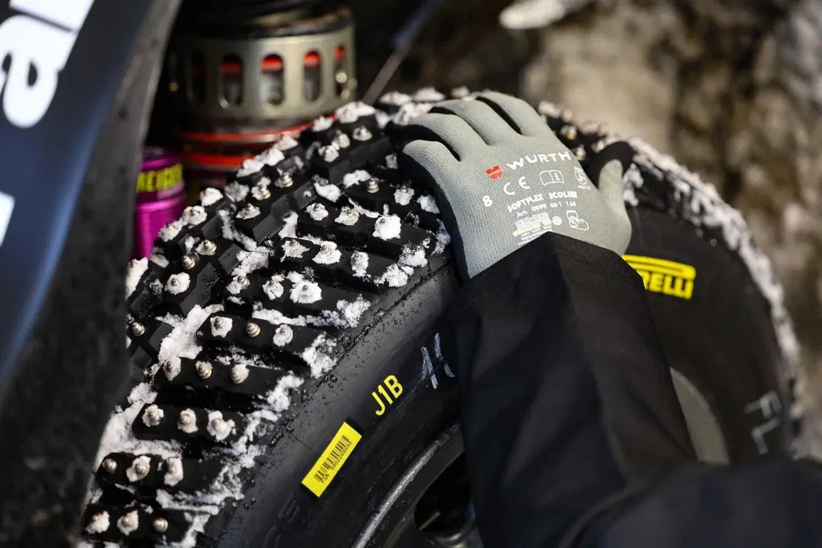 WRC 2024 Svezia. Velocissimo, bianco, invernale, unico (10)