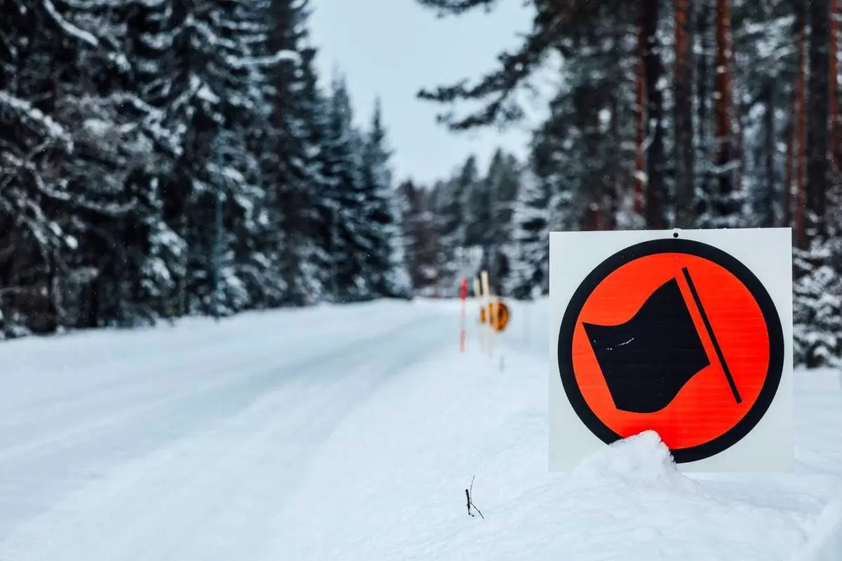 WRC 2024 Svezia. Velocissimo, bianco, invernale, unico (11)