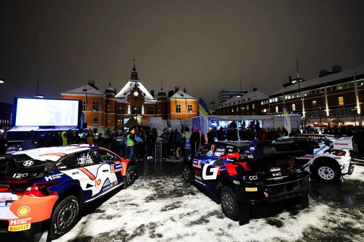 WRC 2024 Svezia. Velocissimo, bianco, invernale, unico (15)