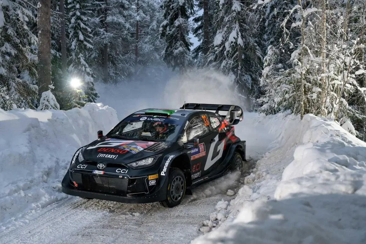 WRC 2024 Svezia. Velocissimo, bianco, invernale, unico (16)