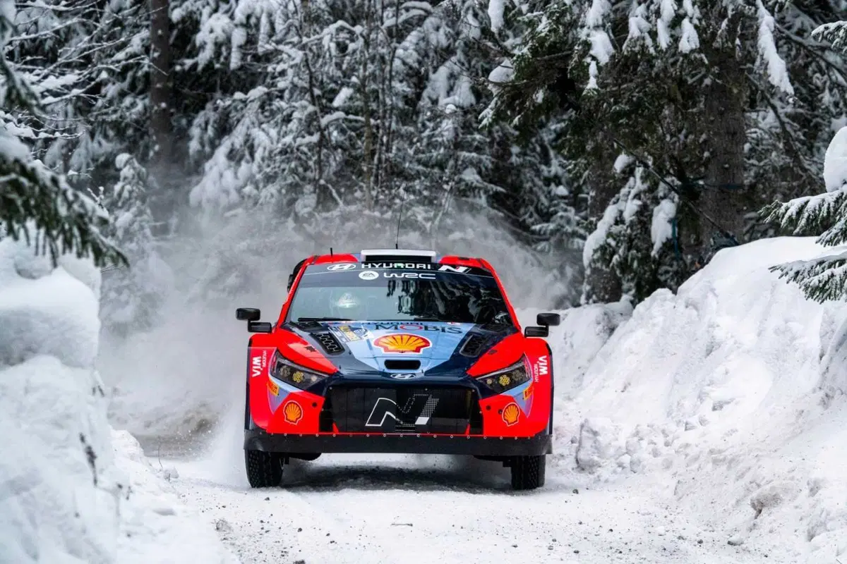 WRC 2024 Svezia. Velocissimo, bianco, invernale, unico (21)