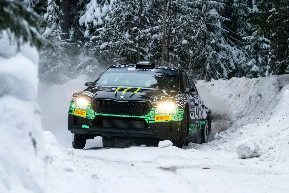 WRC 2024 Svezia. Velocissimo, bianco, invernale, unico (24)